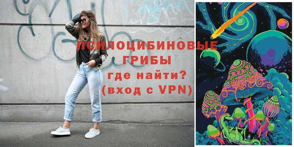 эйфоретик Вяземский