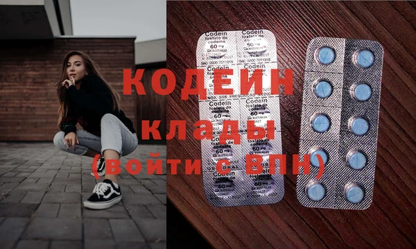 эйфоретик Вяземский