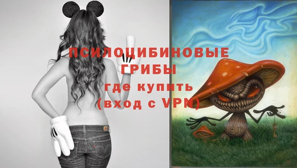 меф Горняк