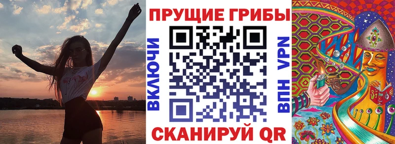 Псилоцибиновые грибы Psilocybine cubensis Омск